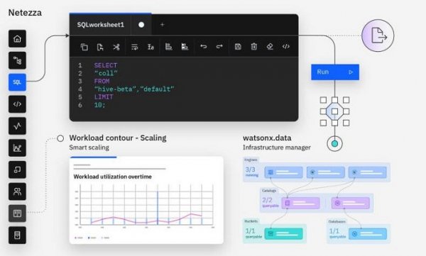 Netezza Performance Server
